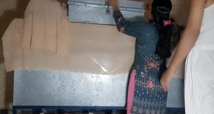Desi indian bhabhi devar sex